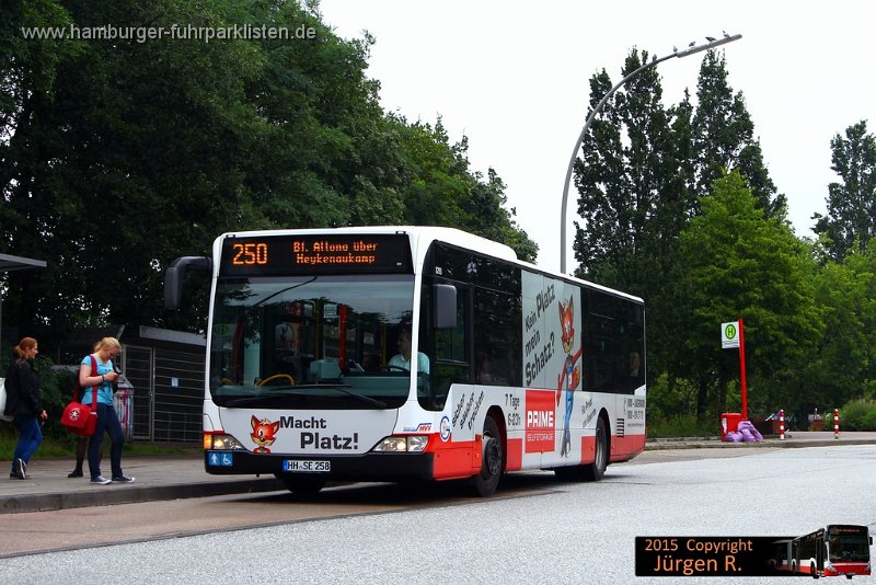 14) 8293-22,SBG,JN.jpg